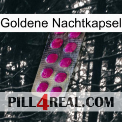 Golden Night Capsule 09